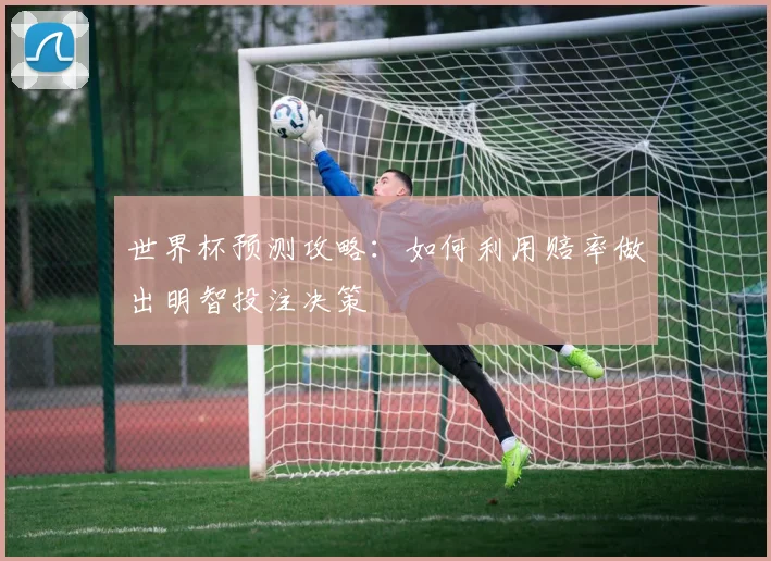 世界杯预测攻略：如何利用赔率做出明智投注决策